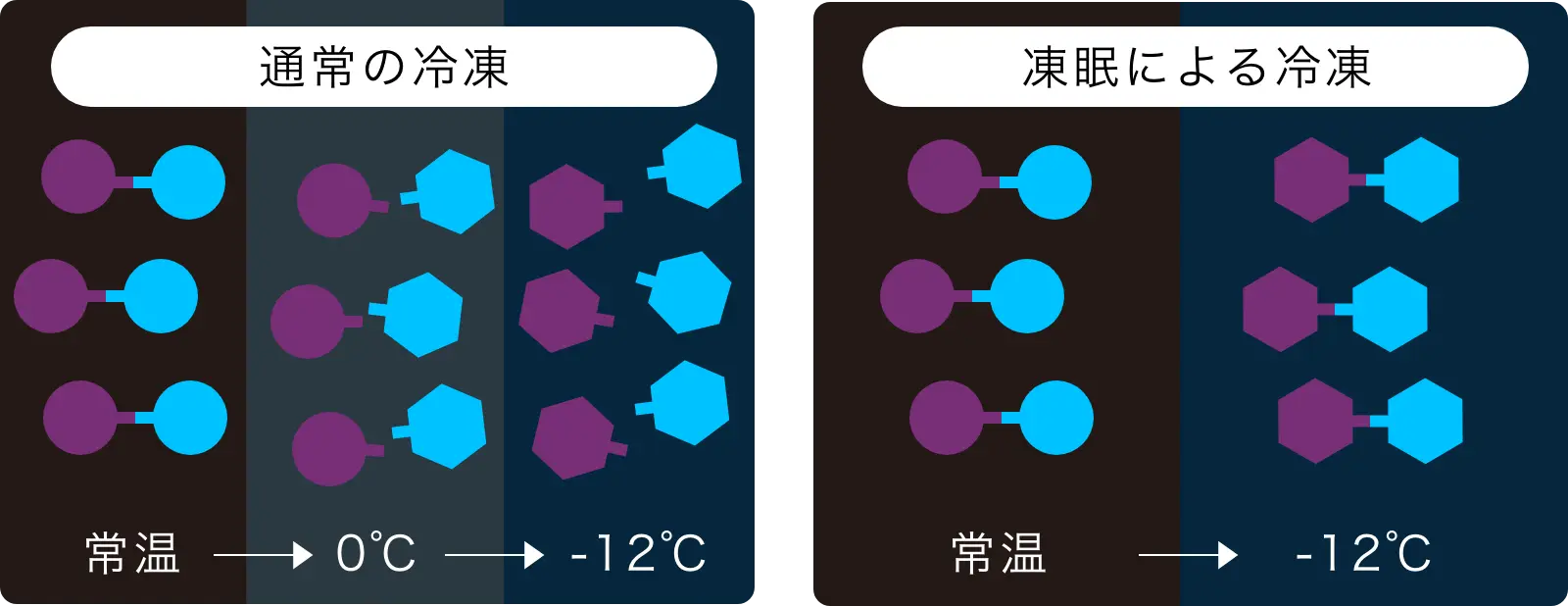 おいしさの秘密は冷凍技術